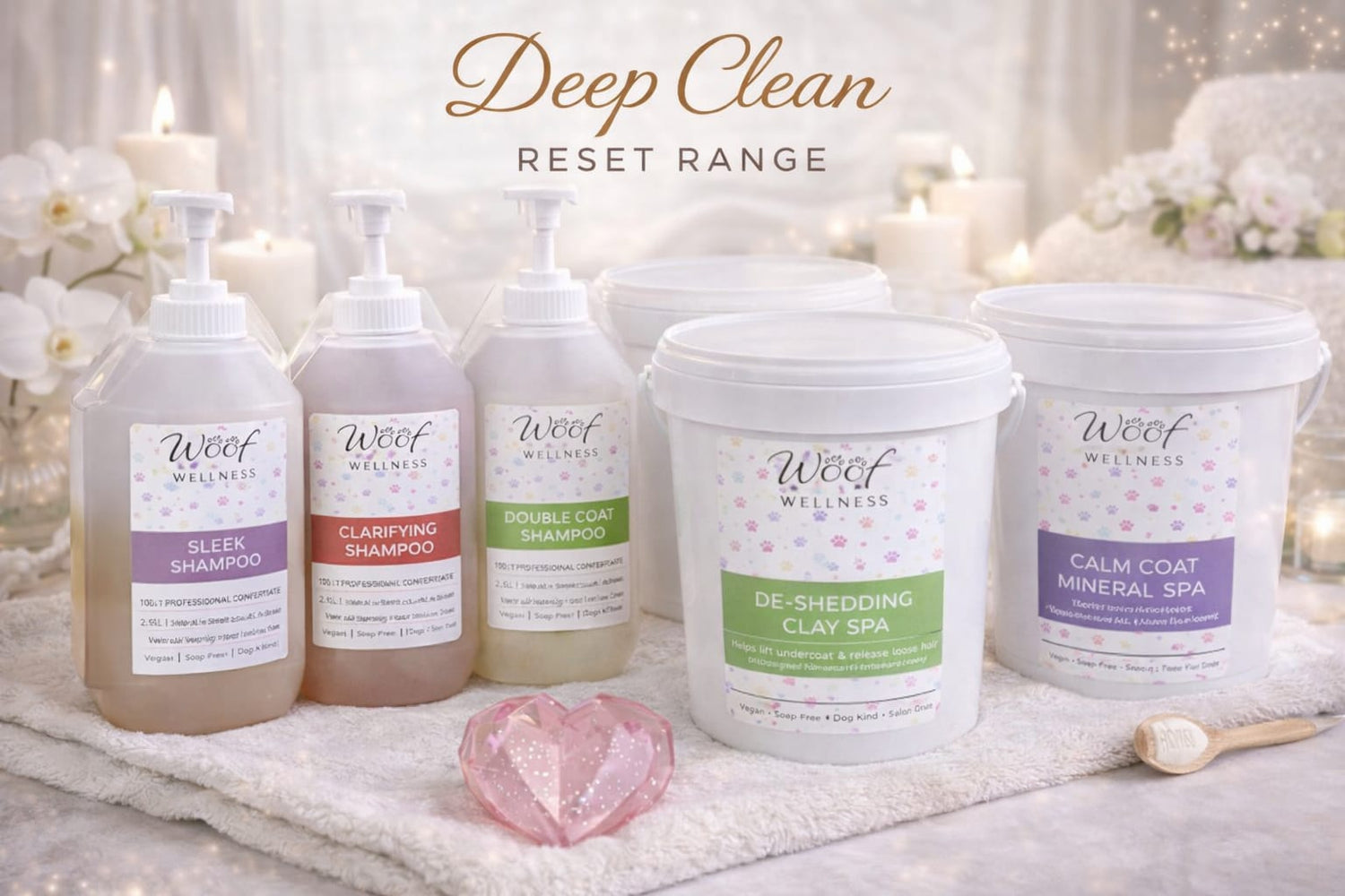 Deep Clean & Reset